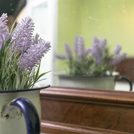 Diffuso Ca' Spiga 3* Laglio