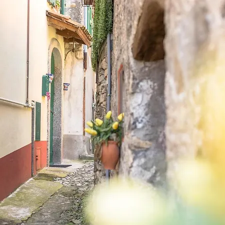 Diffuso Ca' Spiga Bed & Breakfast *