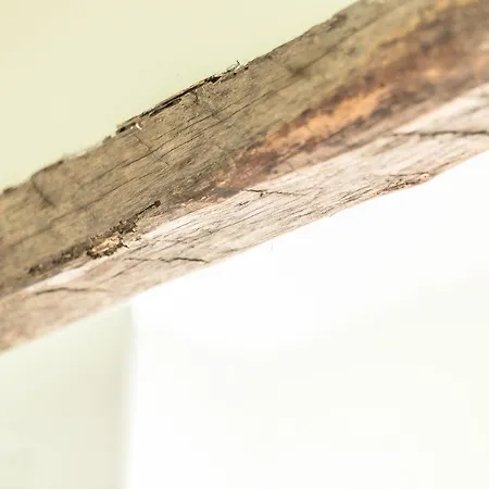 Diffuso Ca' Spiga Bed and breakfast Laglio